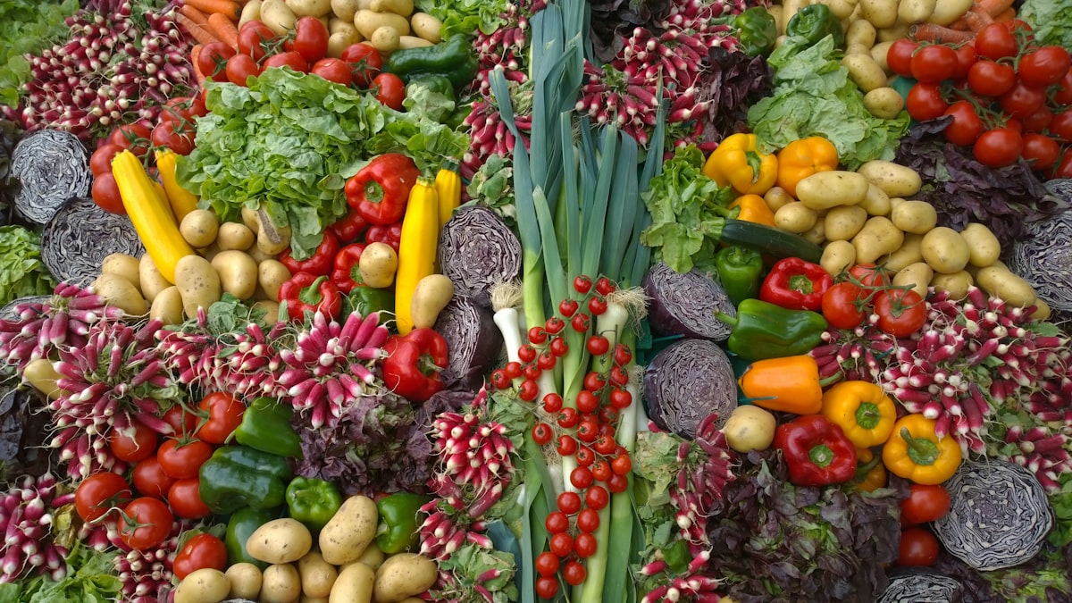 Proteiny v průběhu dne